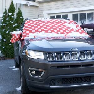 Red Polka Dot Snow Cover for Cars Set of 2